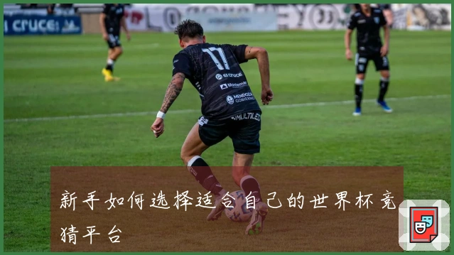 新手如何选择适合自己的世界杯竞猜平台