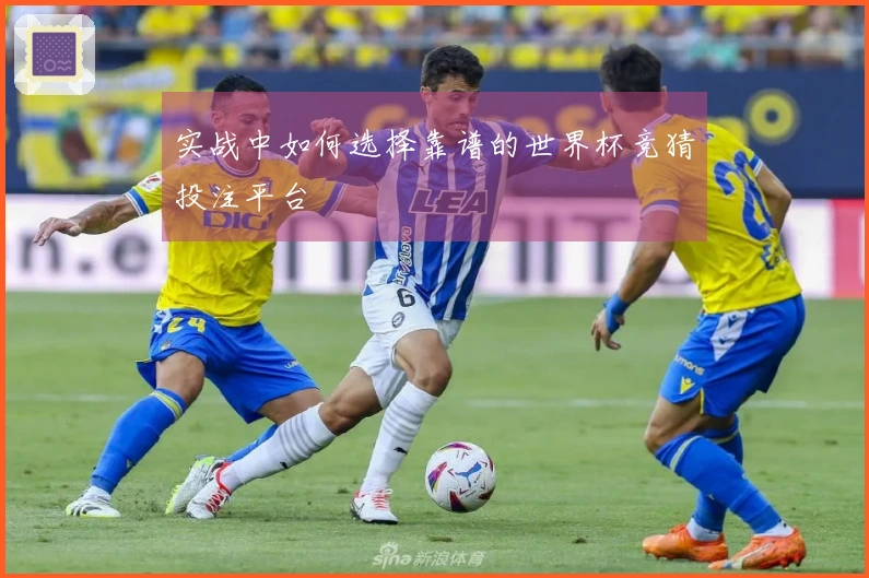实战中如何选择靠谱的世界杯竞猜投注平台
