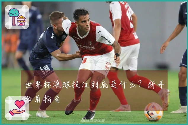 世界杯滚球投注到底是什么？新手必看指南