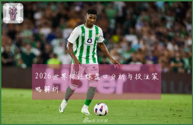 2026世界杯让球盘口分析与投注策略解析