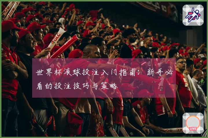世界杯滚球投注入门指南：新手必看的投注技巧与策略