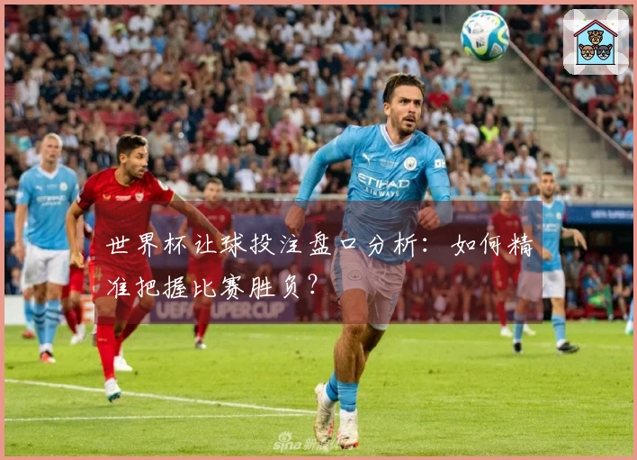 世界杯让球投注盘口分析：如何精准把握比赛胜负？
