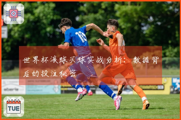 世界杯滚球买球实战分析：数据背后的投注秘密