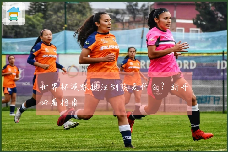 世界杯滚球投注到底是什么？新手必看指南