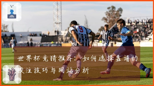 世界杯竞猜推荐：如何选择靠谱的投注技巧与网站分析
